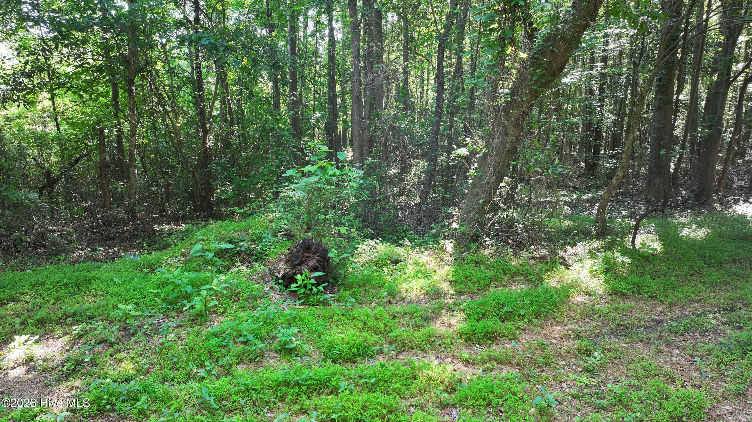00 Cooper Branch Road Property Photo 31