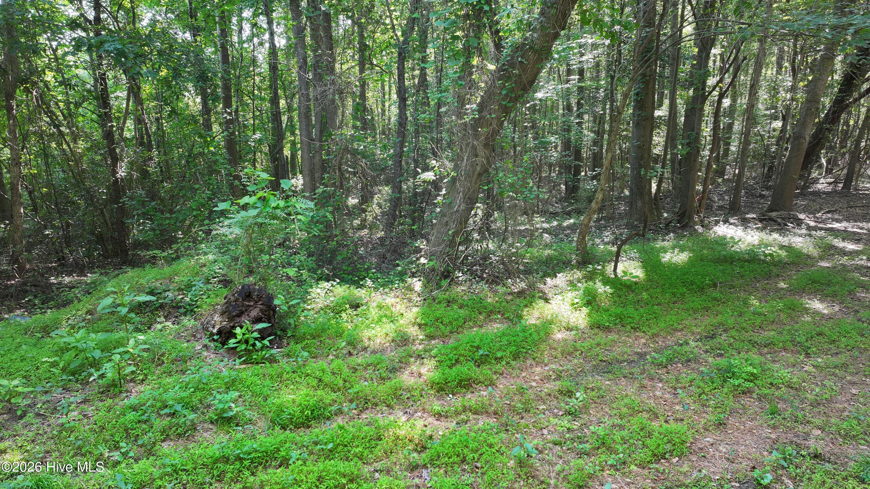 00 Cooper Branch Road Property Photo 32