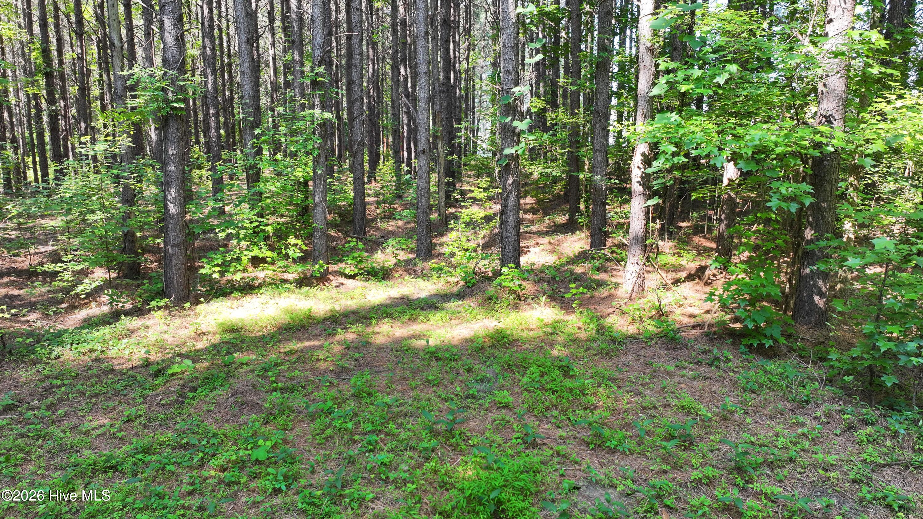 00 Cooper Branch Road Property Photo 33