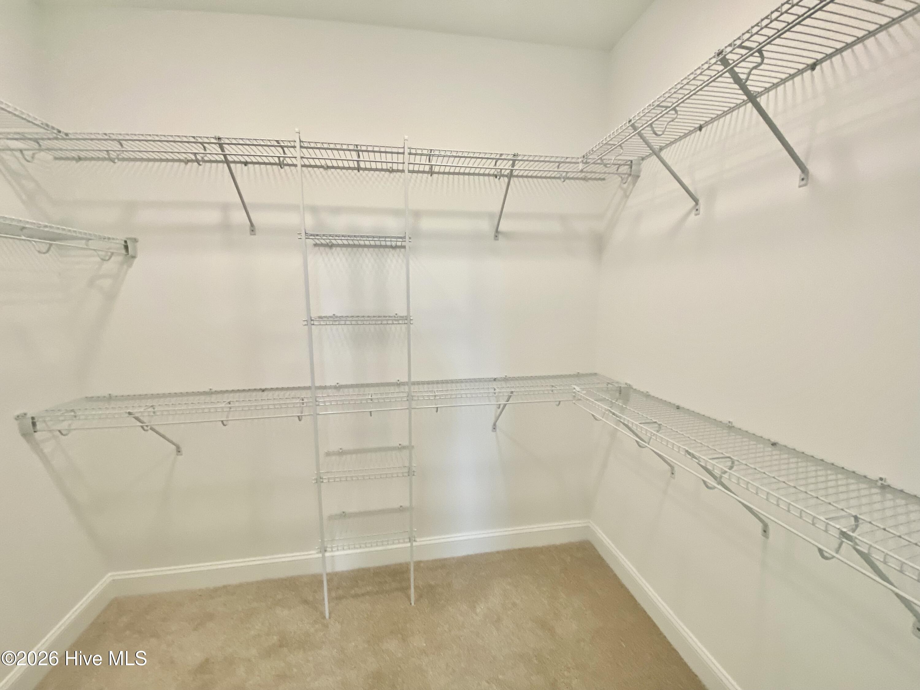 203 Rae Drive Property Photo 29