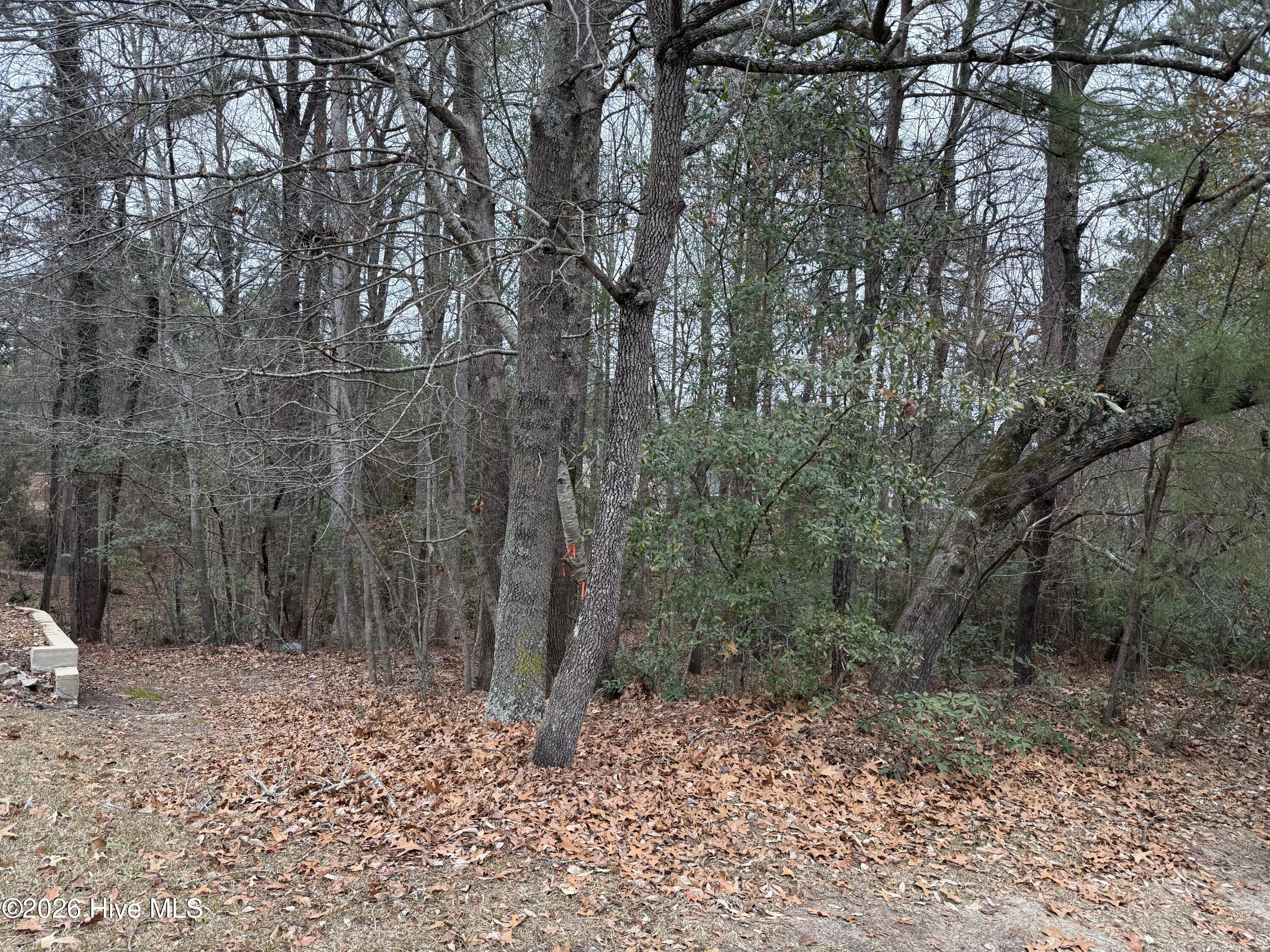 275 Canter Lane Property Photo 1