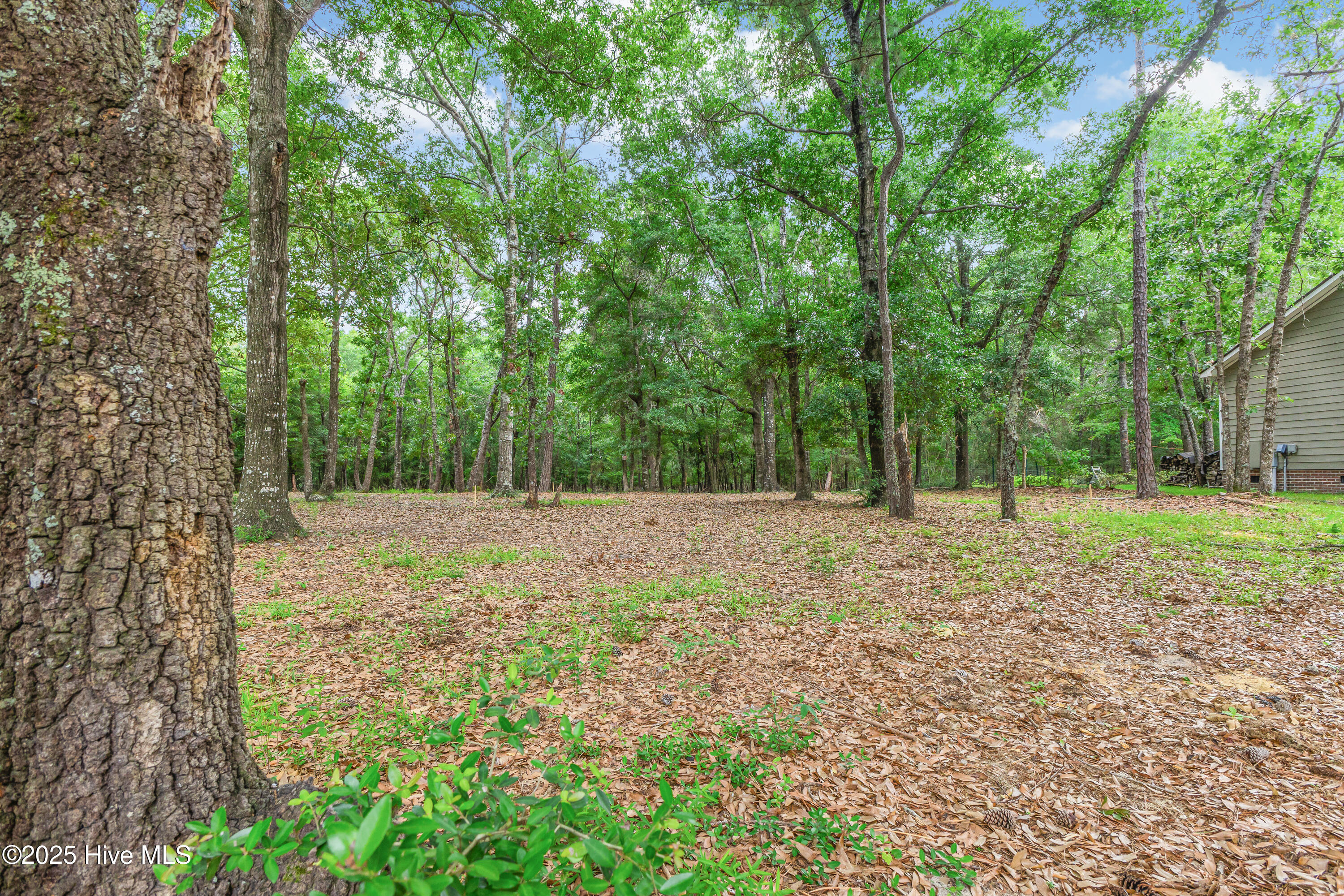 3197 Marsh View Drive Sw Property Photo 2