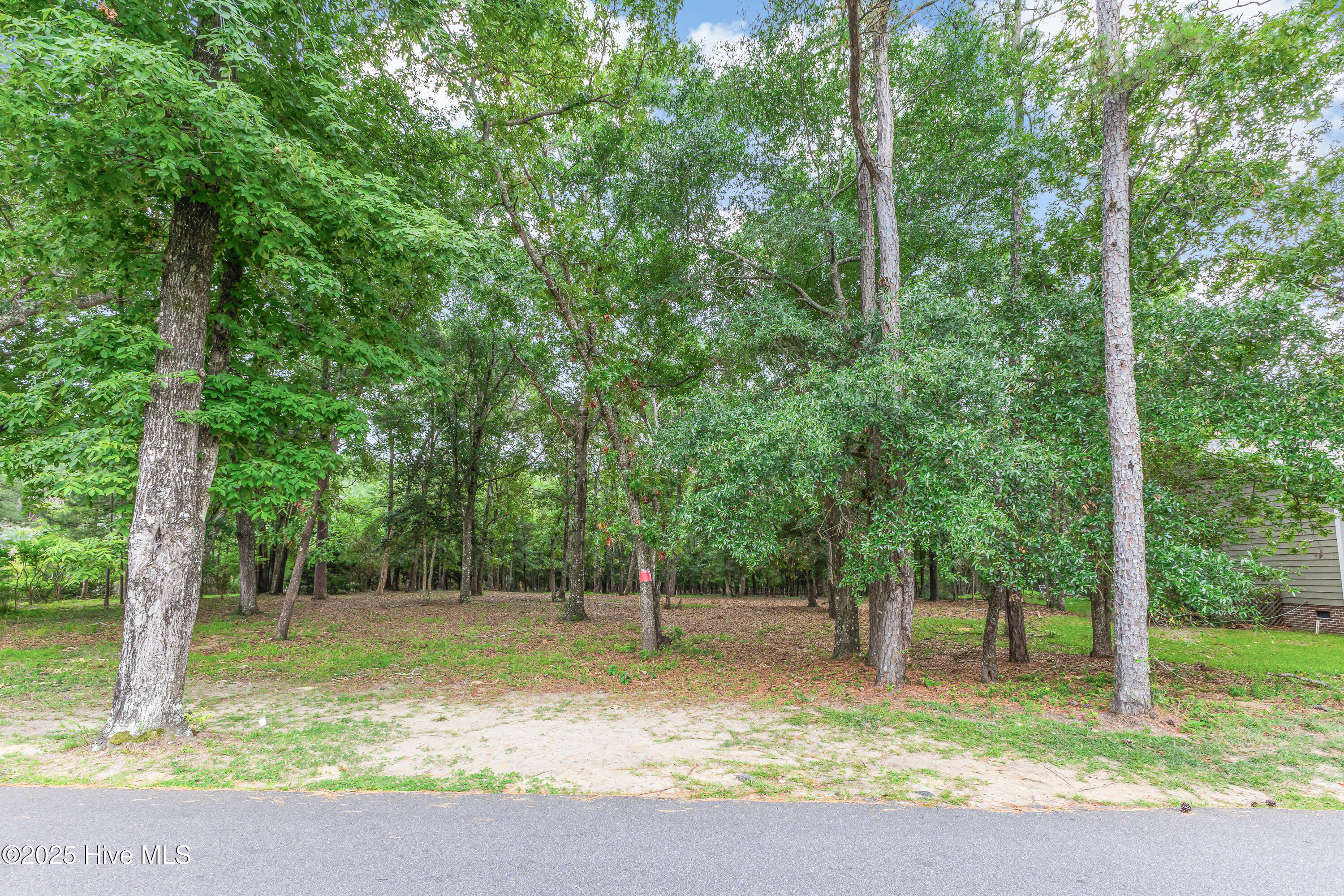 3197 Marsh View Drive Sw Property Photo 3