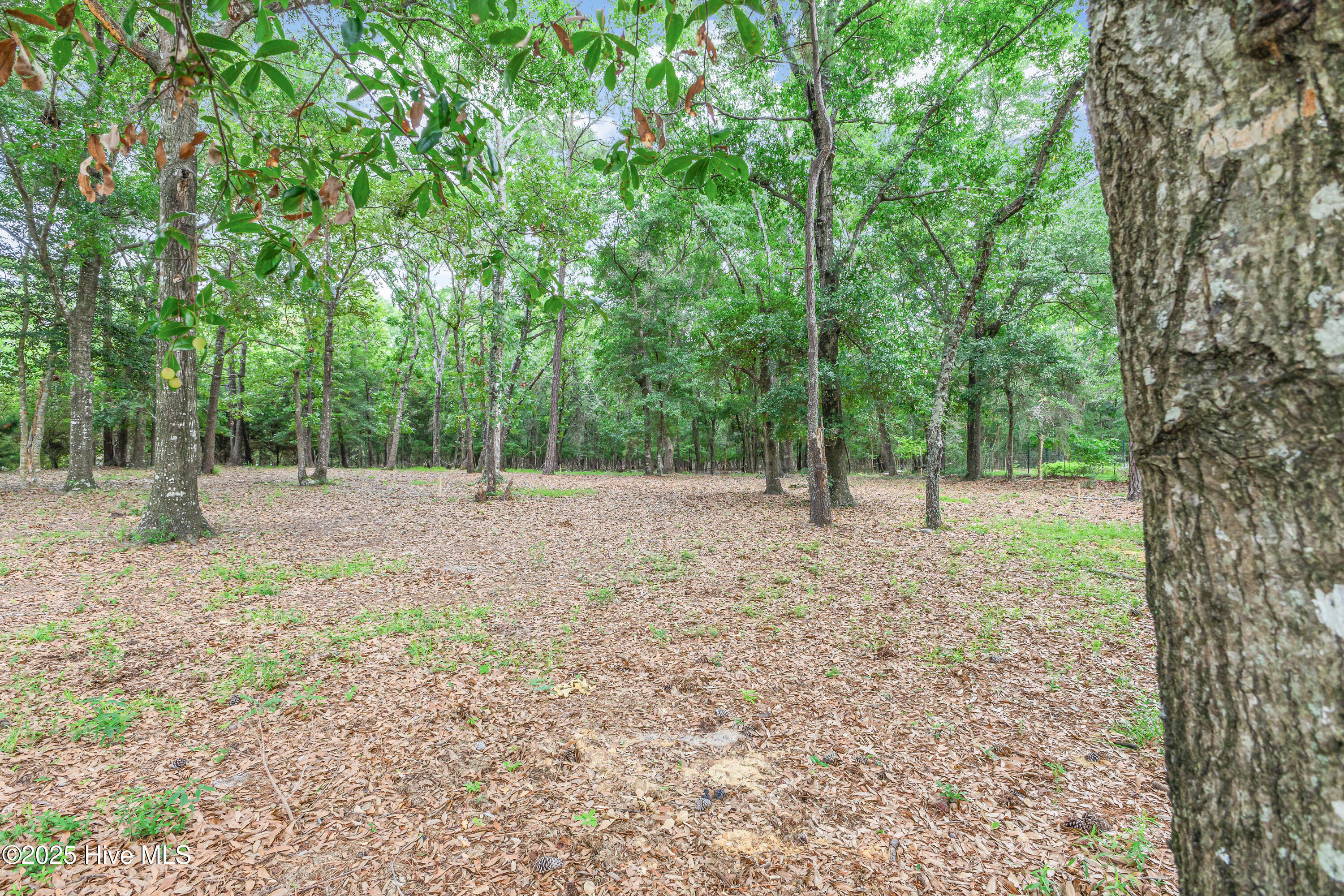 3197 Marsh View Drive Sw Property Photo 13