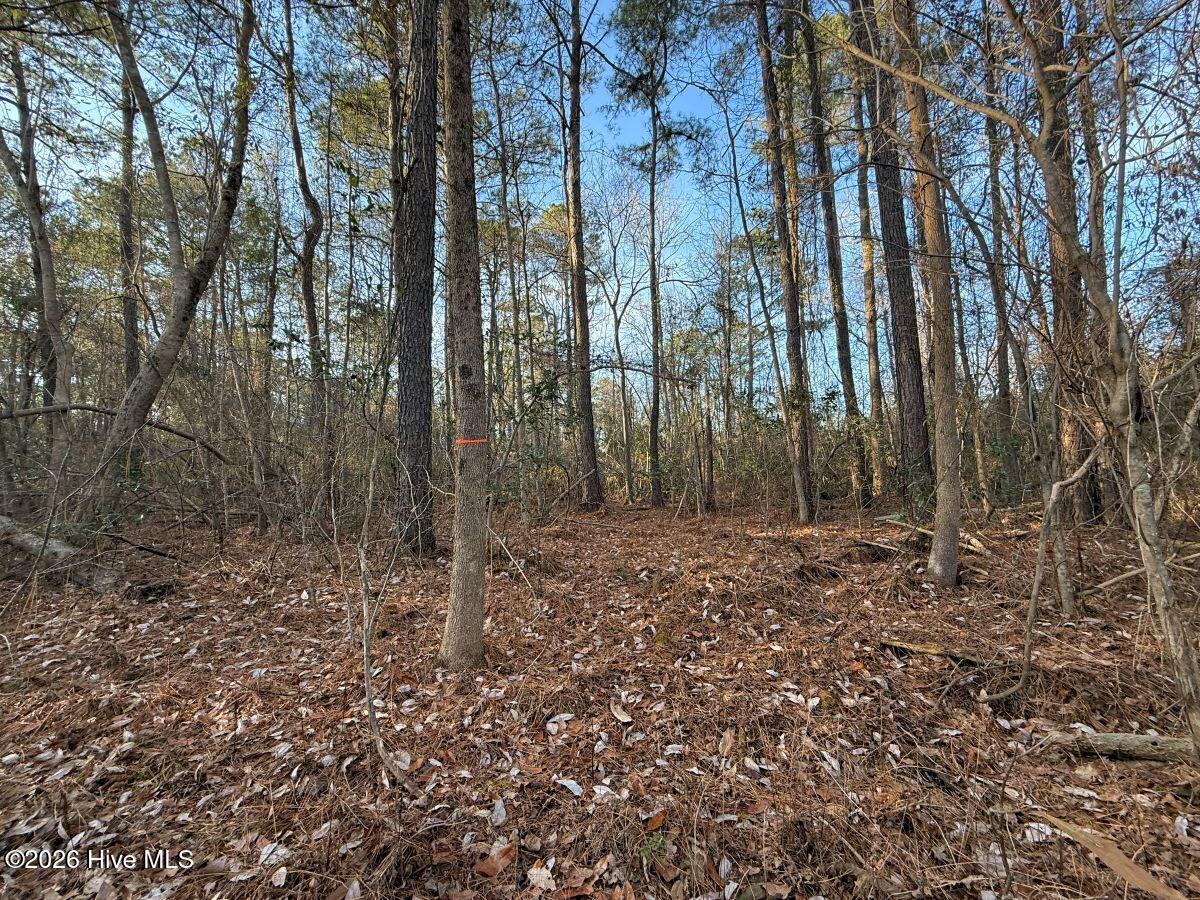 0 Carolina 410 Property Photo 6