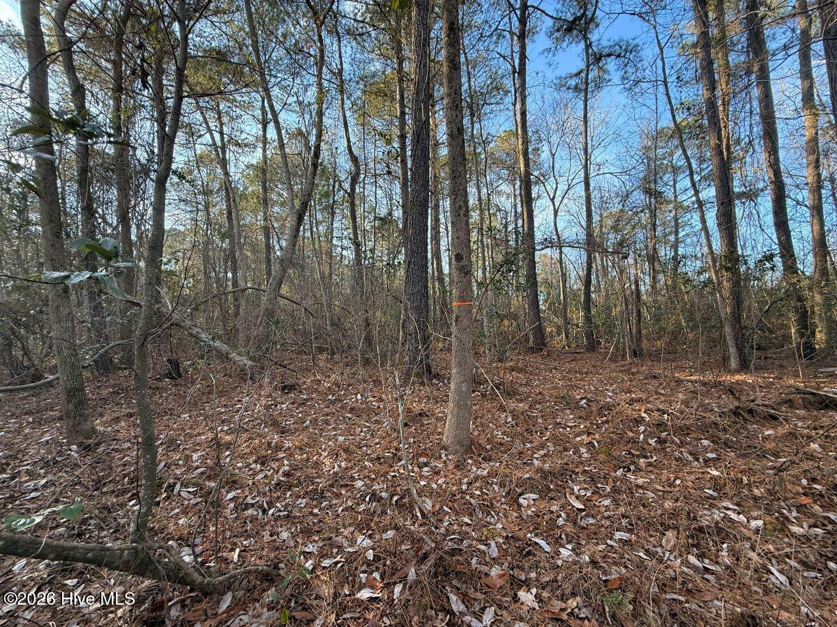 0 Carolina 410 Property Photo 7