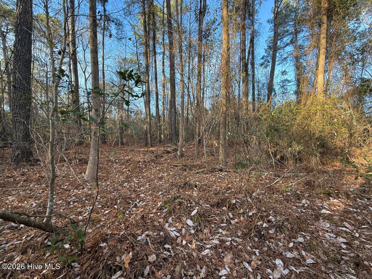 0 Carolina 410 Property Photo 8