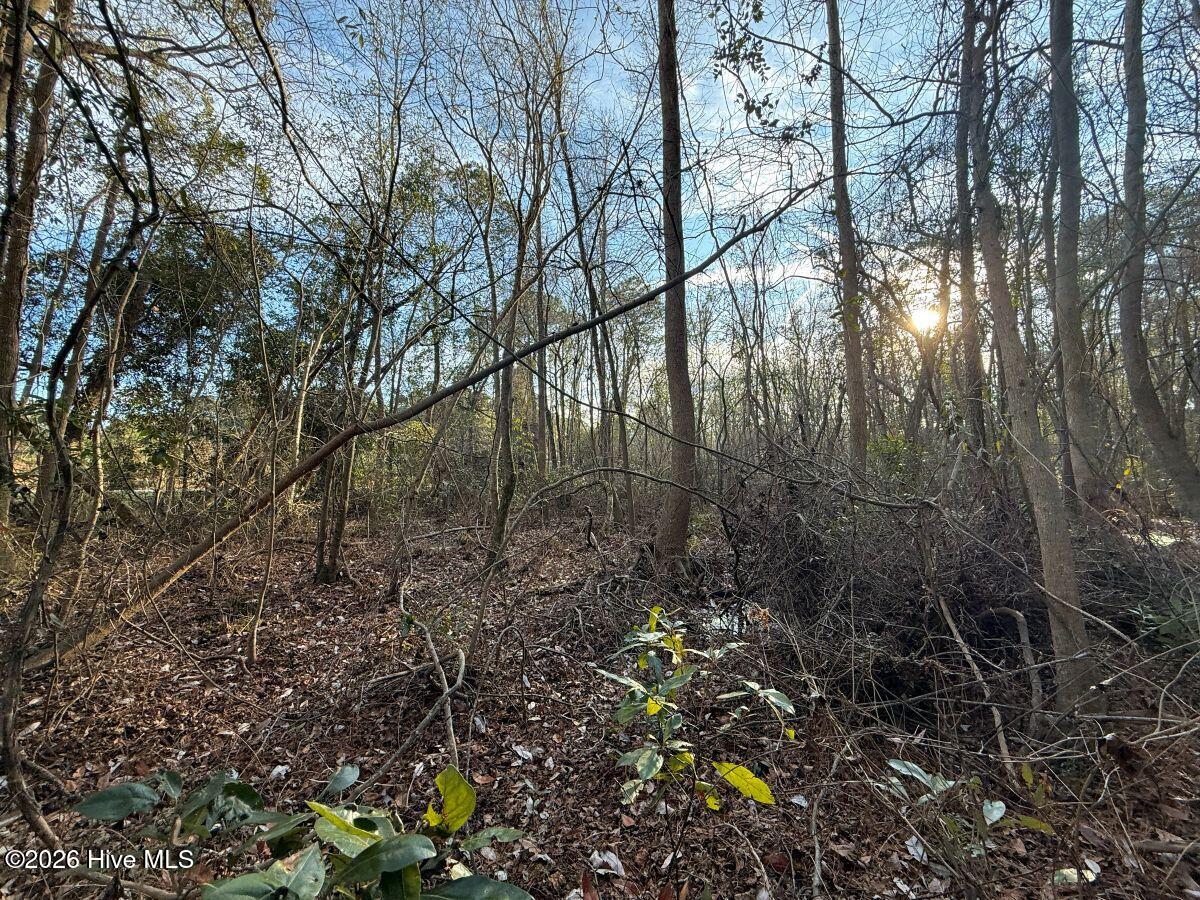 0 Carolina 410 Property Photo 14