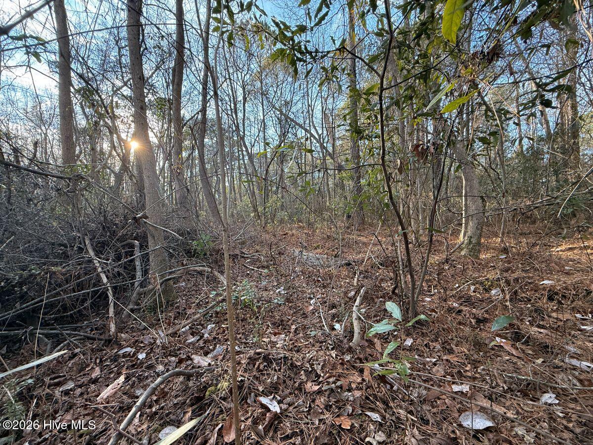 0 Carolina 410 Property Photo 15