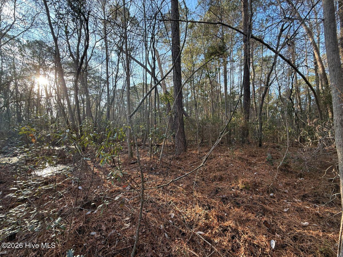 0 Carolina 410 Property Photo 19
