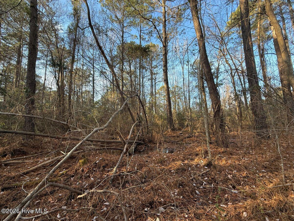 0 Carolina 410 Property Photo 20