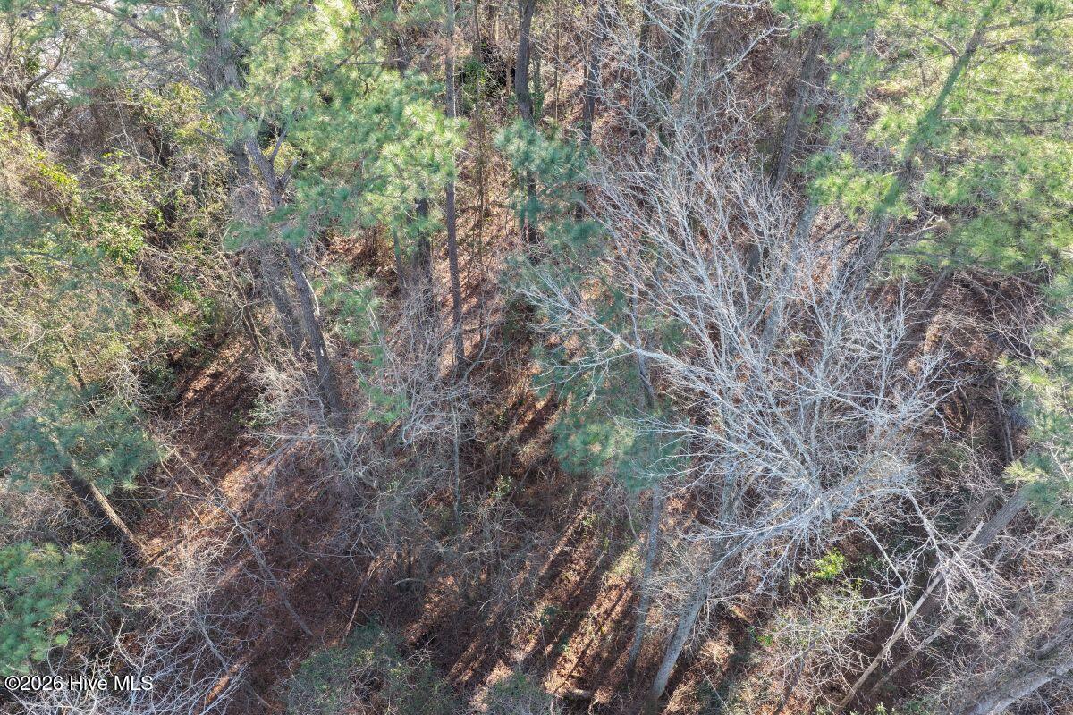 0 Carolina 410 Property Photo 25