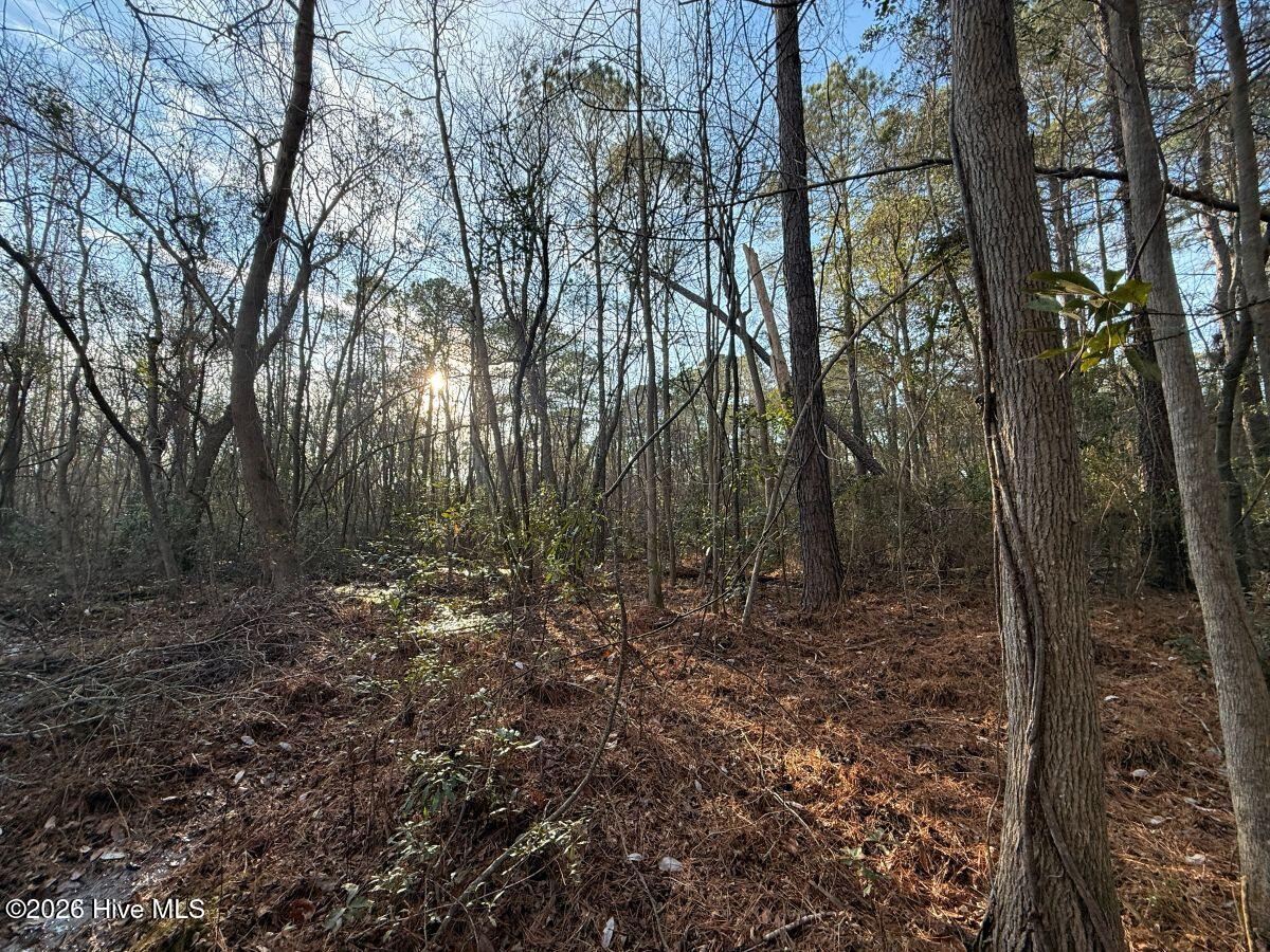 0 Carolina 410 Property Photo 26