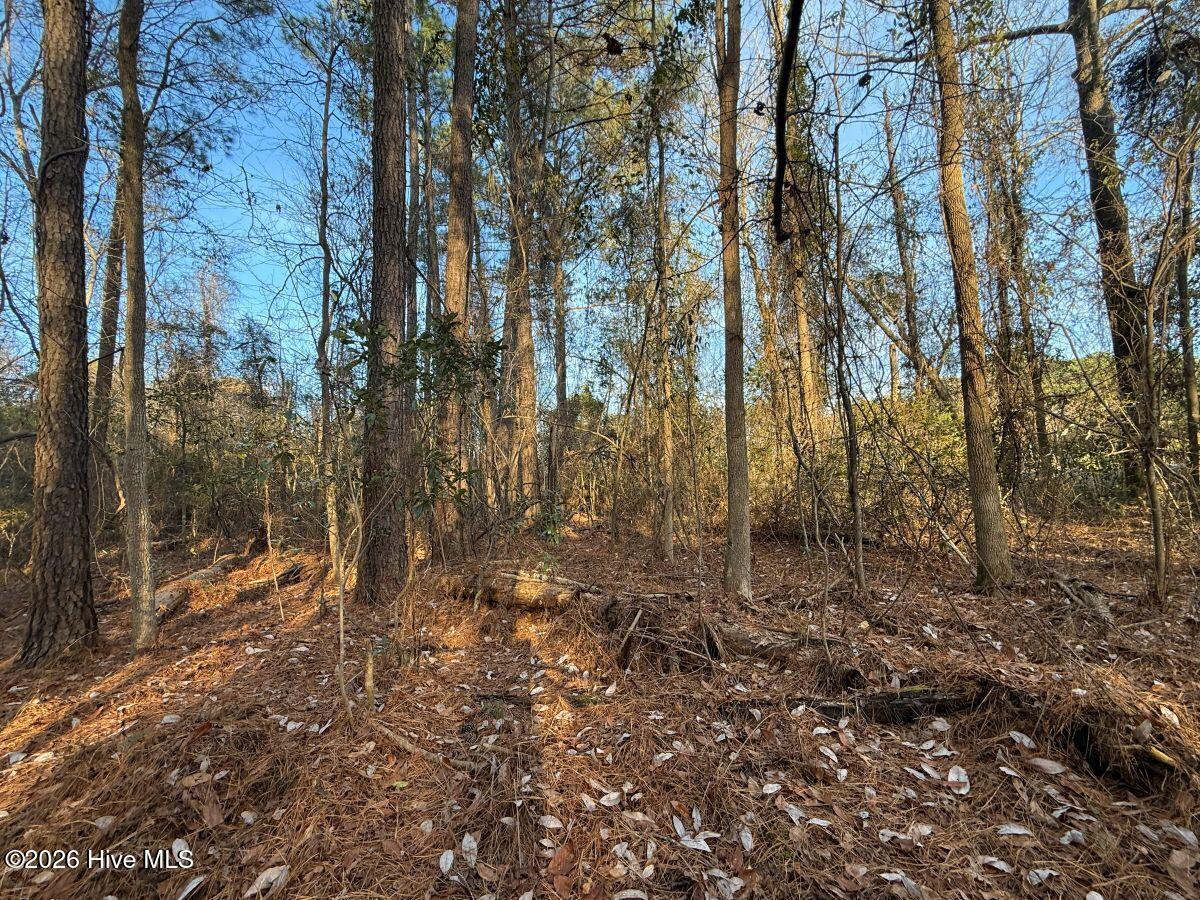 0 Carolina 410 Property Photo 28