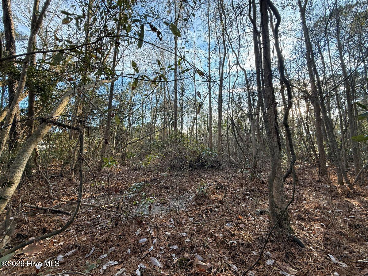 0 Carolina 410 Property Photo 29