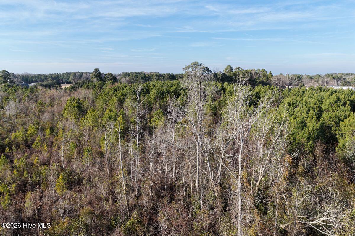 0 Carolina 410 Property Photo 33