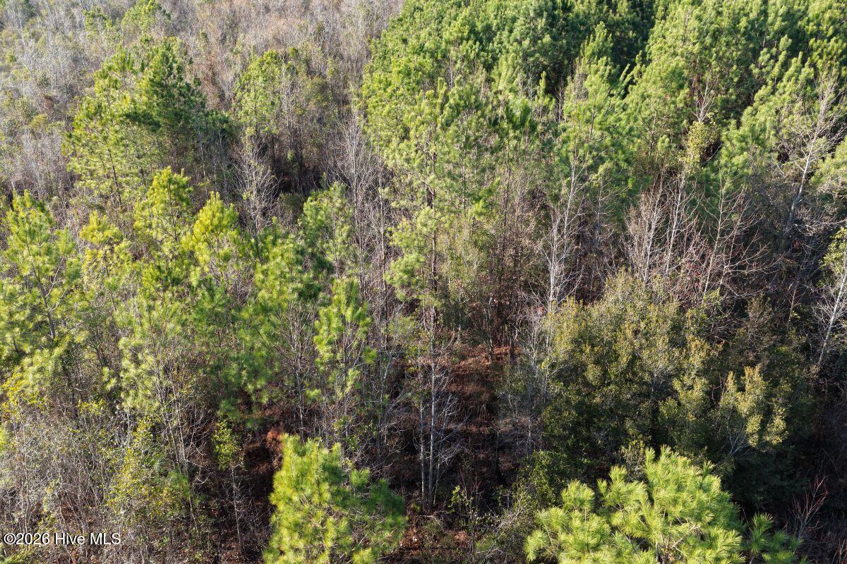 0 Carolina 410 Property Photo 35