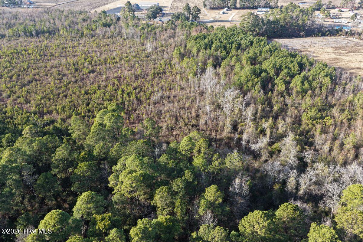 0 Carolina 410 Property Photo 40