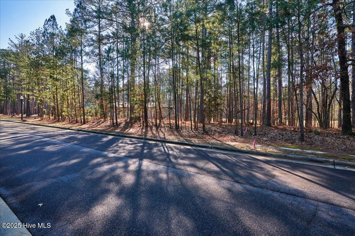 63 Chestertown Drive Property Photo 1