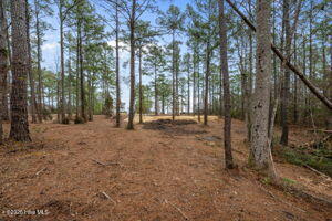 116 40 Cedarwood Drive Property Photo 5