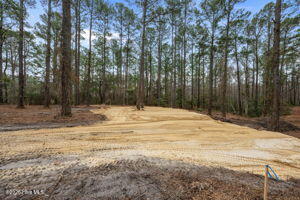 116 40 Cedarwood Drive Property Photo 6
