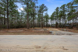 116 40 Cedarwood Drive Property Photo 7