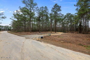 116 40 Cedarwood Drive Property Photo 8