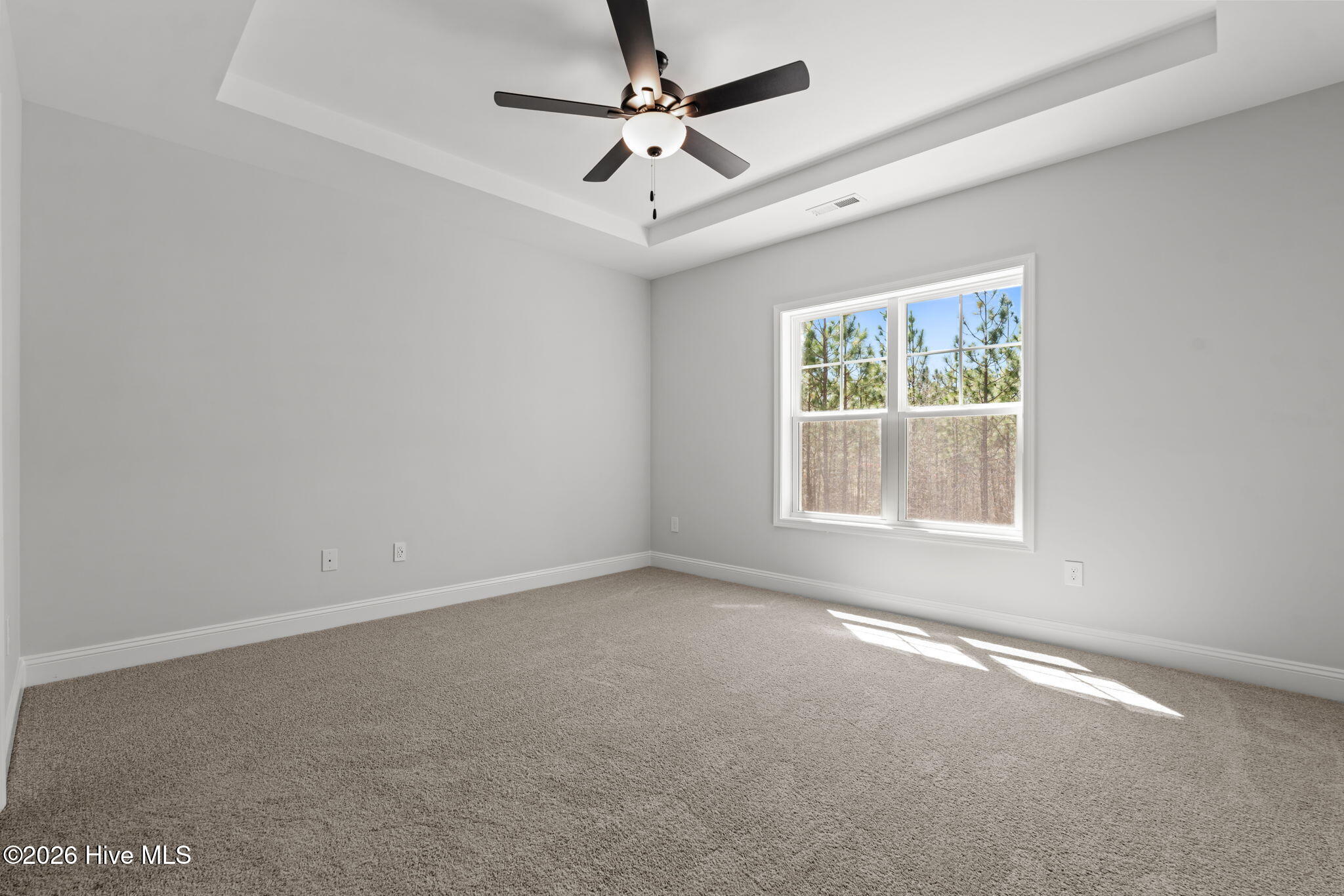 1005 Ivory Lane Property Photo 11