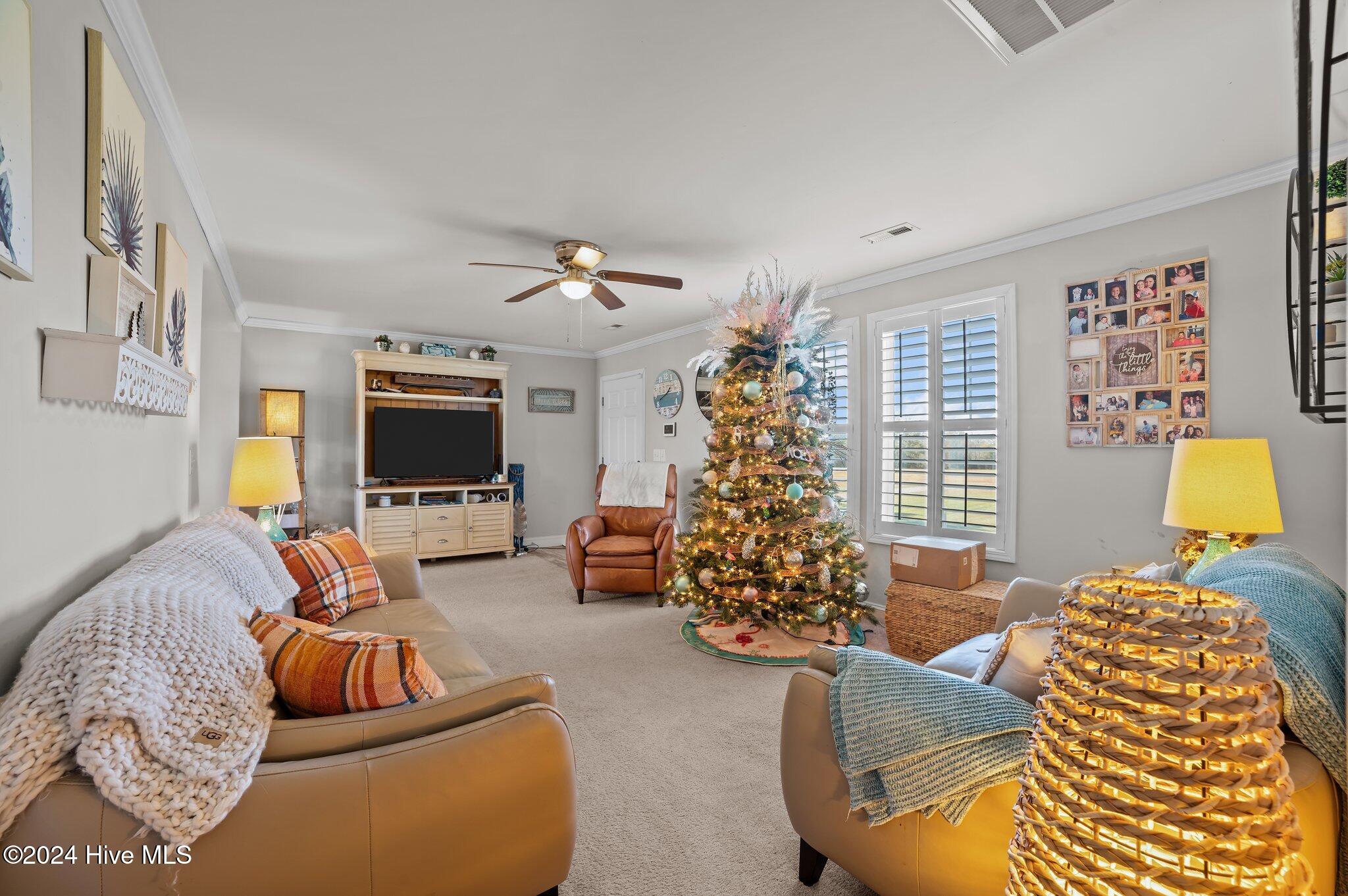 1134 Whichards Beach Road Property Photo 6