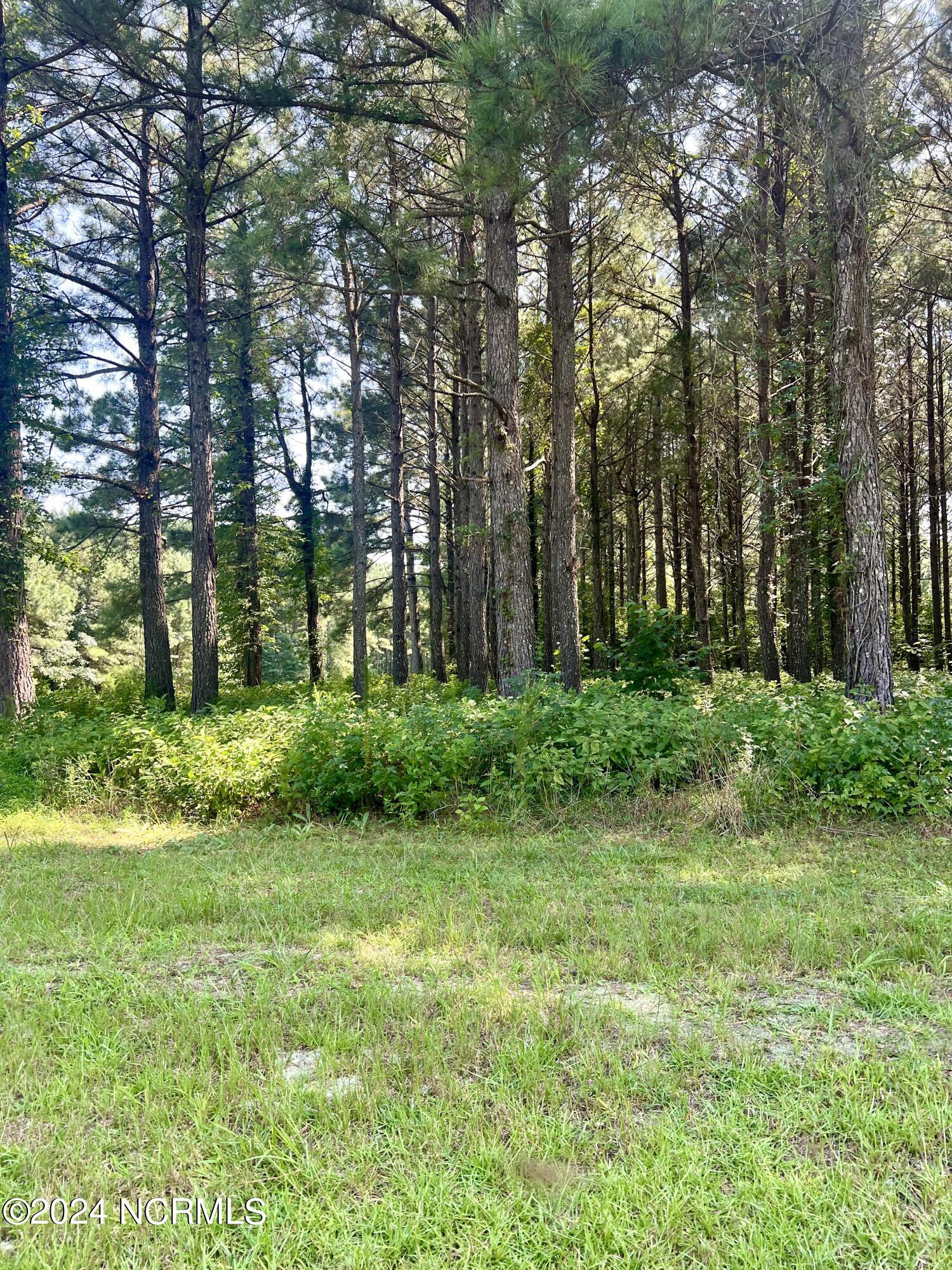 237 134 Winfall Circle Property Photo 7