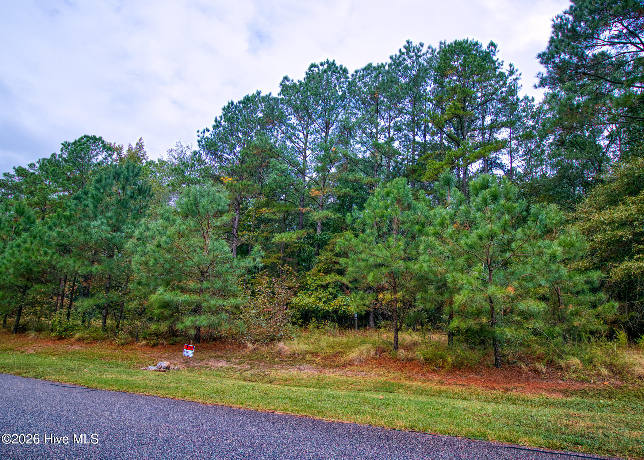 107 59 N State Lane Property Photo 26