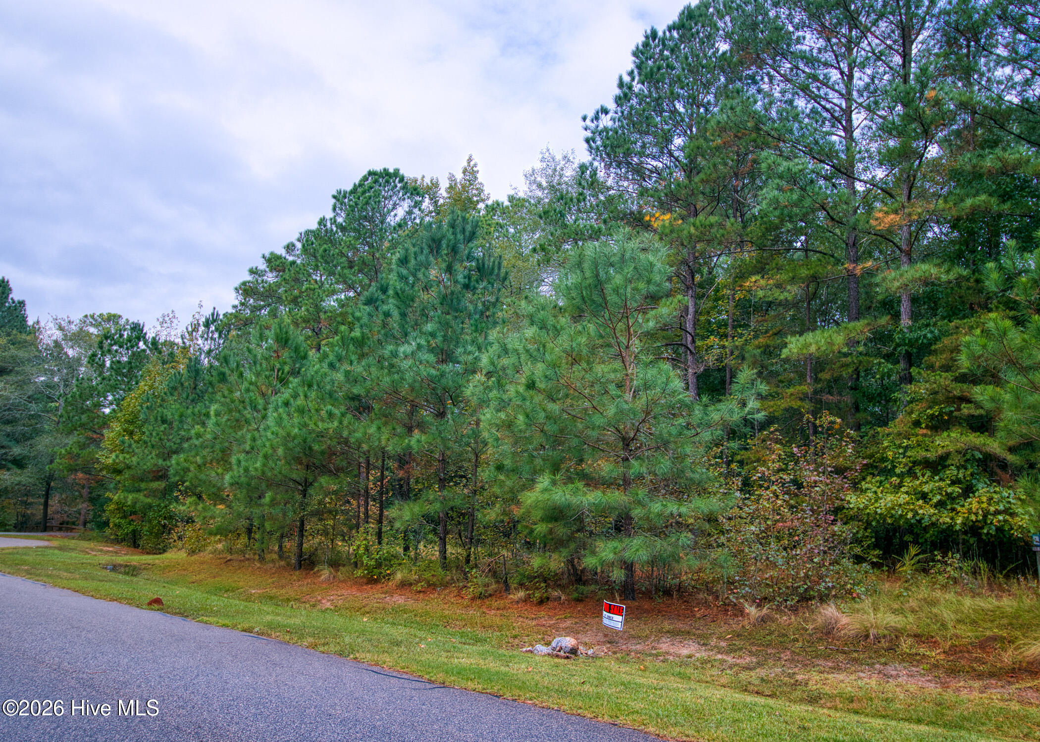 107 59 N State Lane Property Photo 27