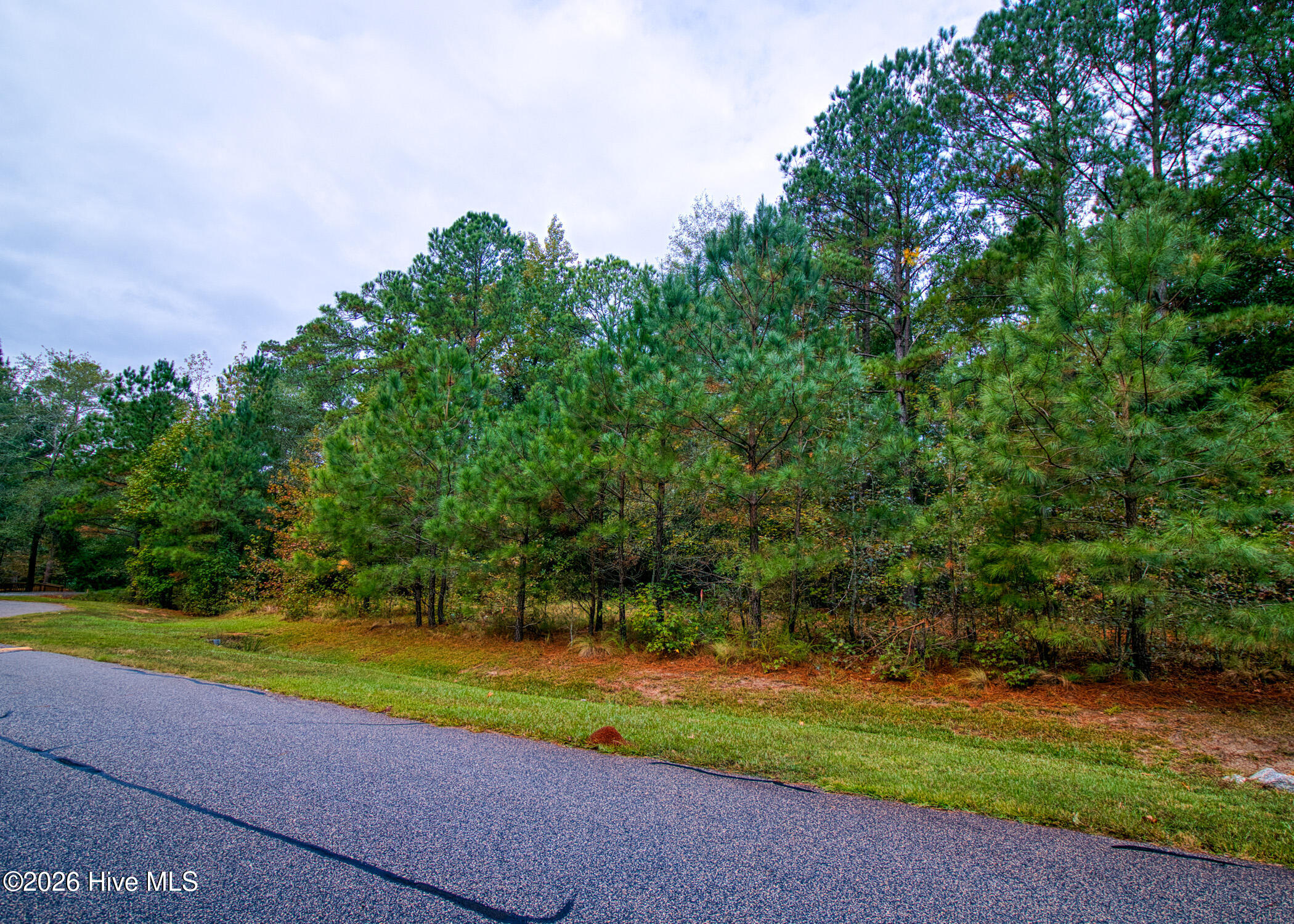 107 59 N State Lane Property Photo 31