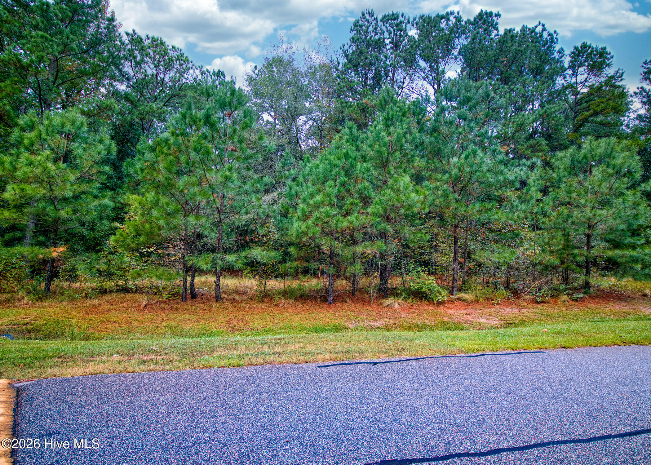 107 59 N State Lane Property Photo 33