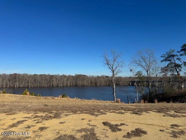 122 River Bluff Drive Property Photo 10