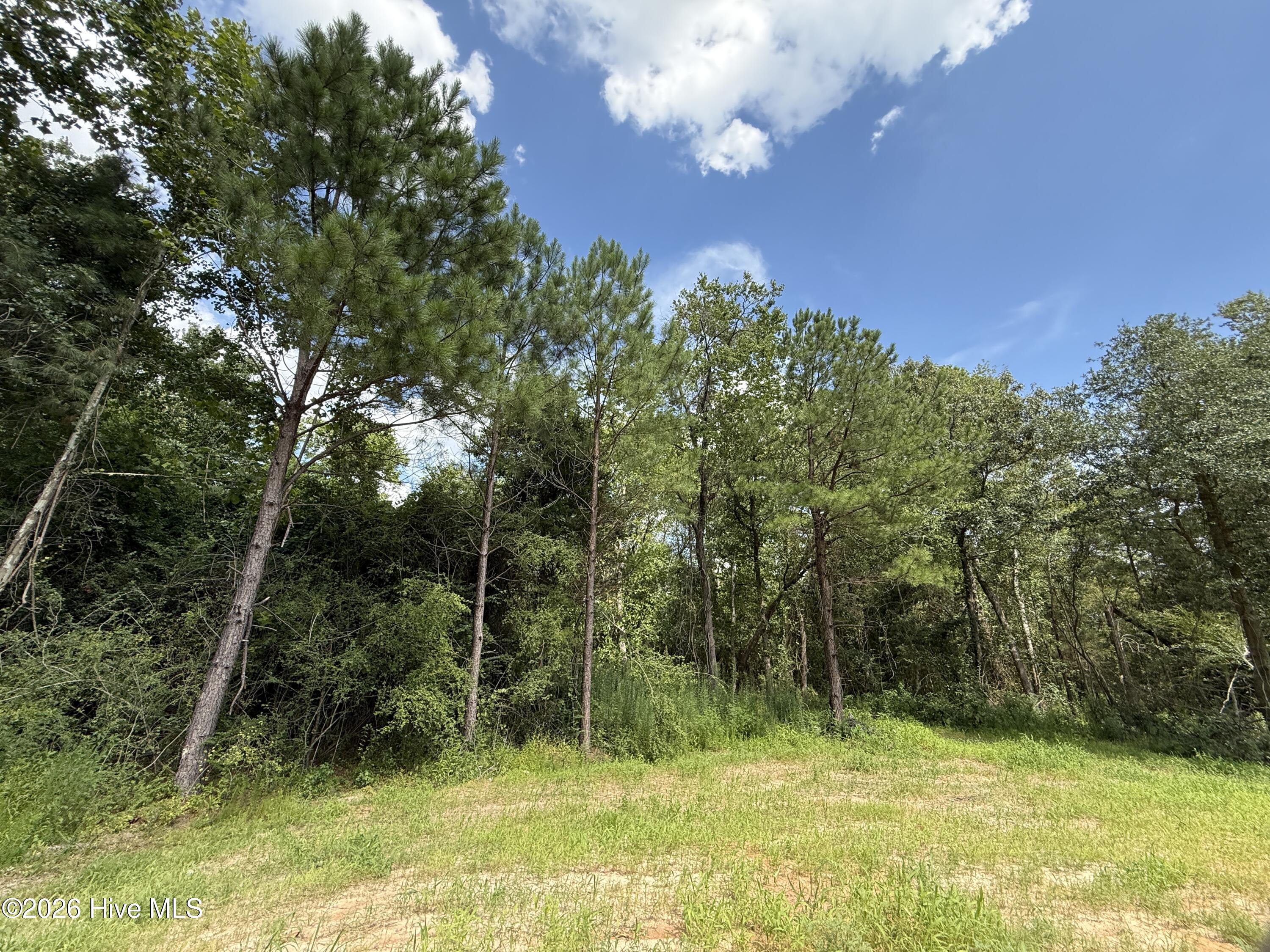263 Strother Road Property Photo 16