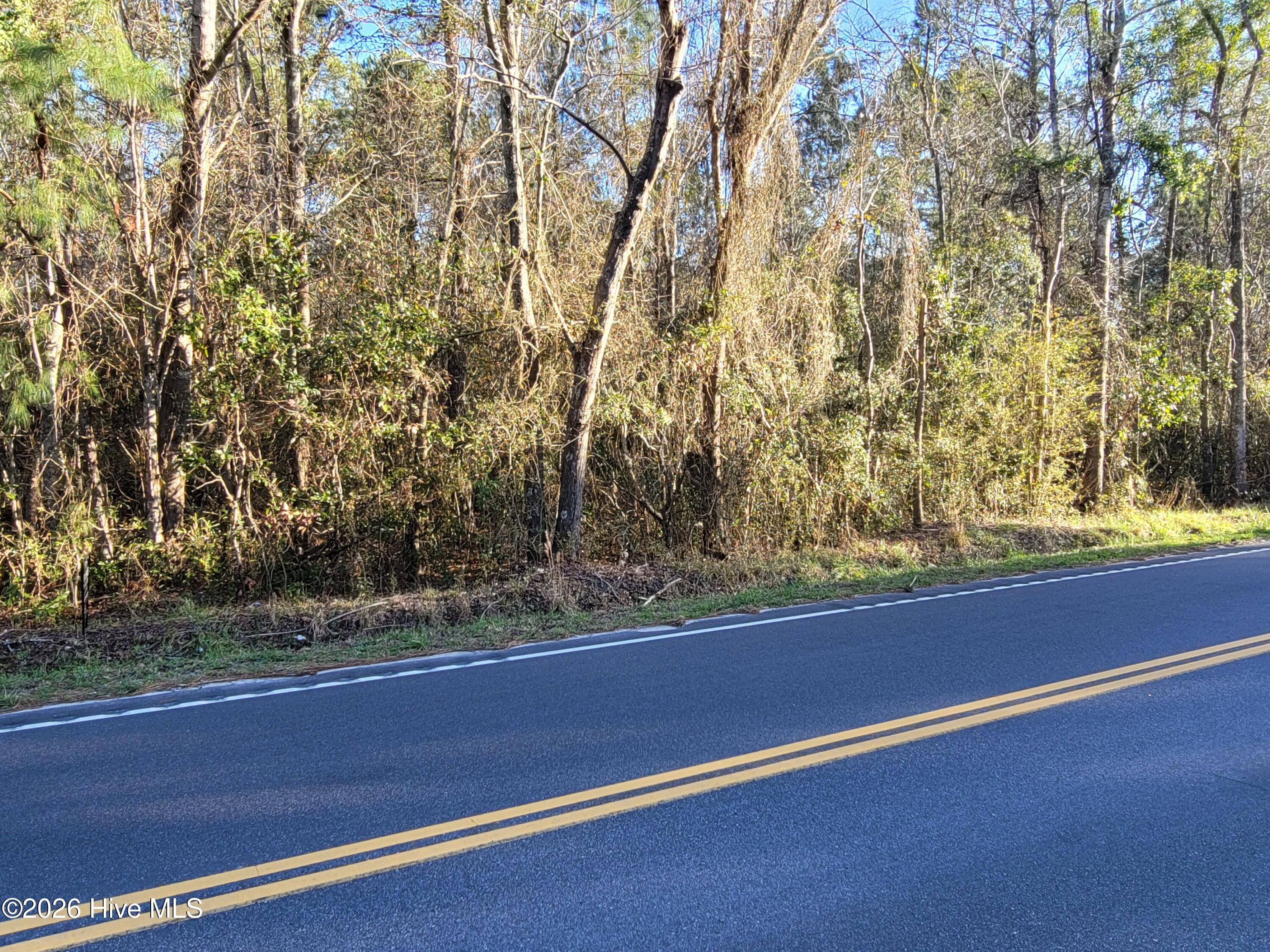 Tbd 1 Total Log Cabin Road Property Photo 3