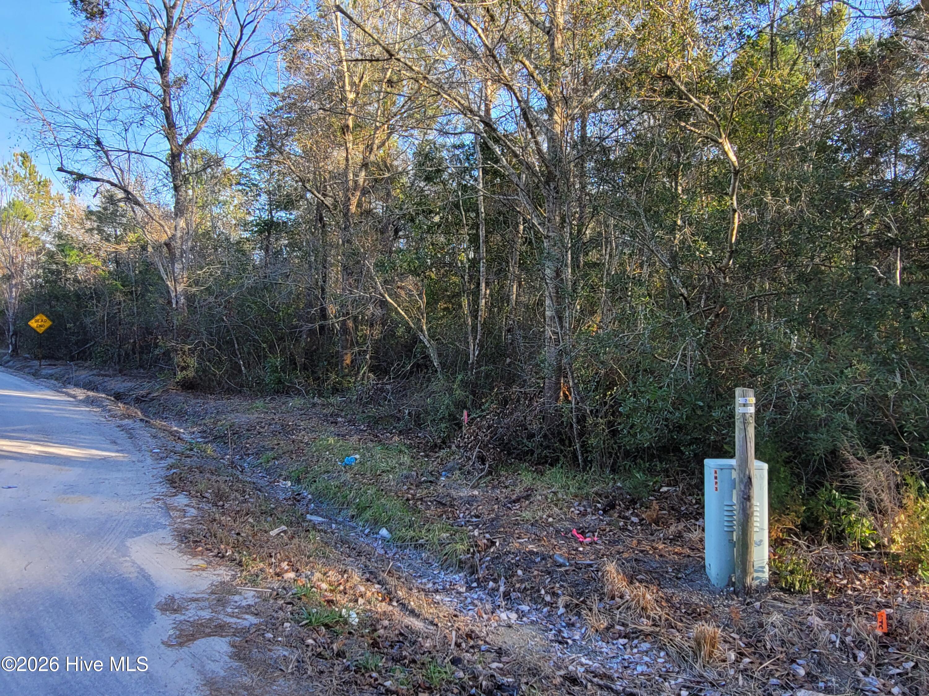 Tbd 1 Total Log Cabin Road Property Photo 6