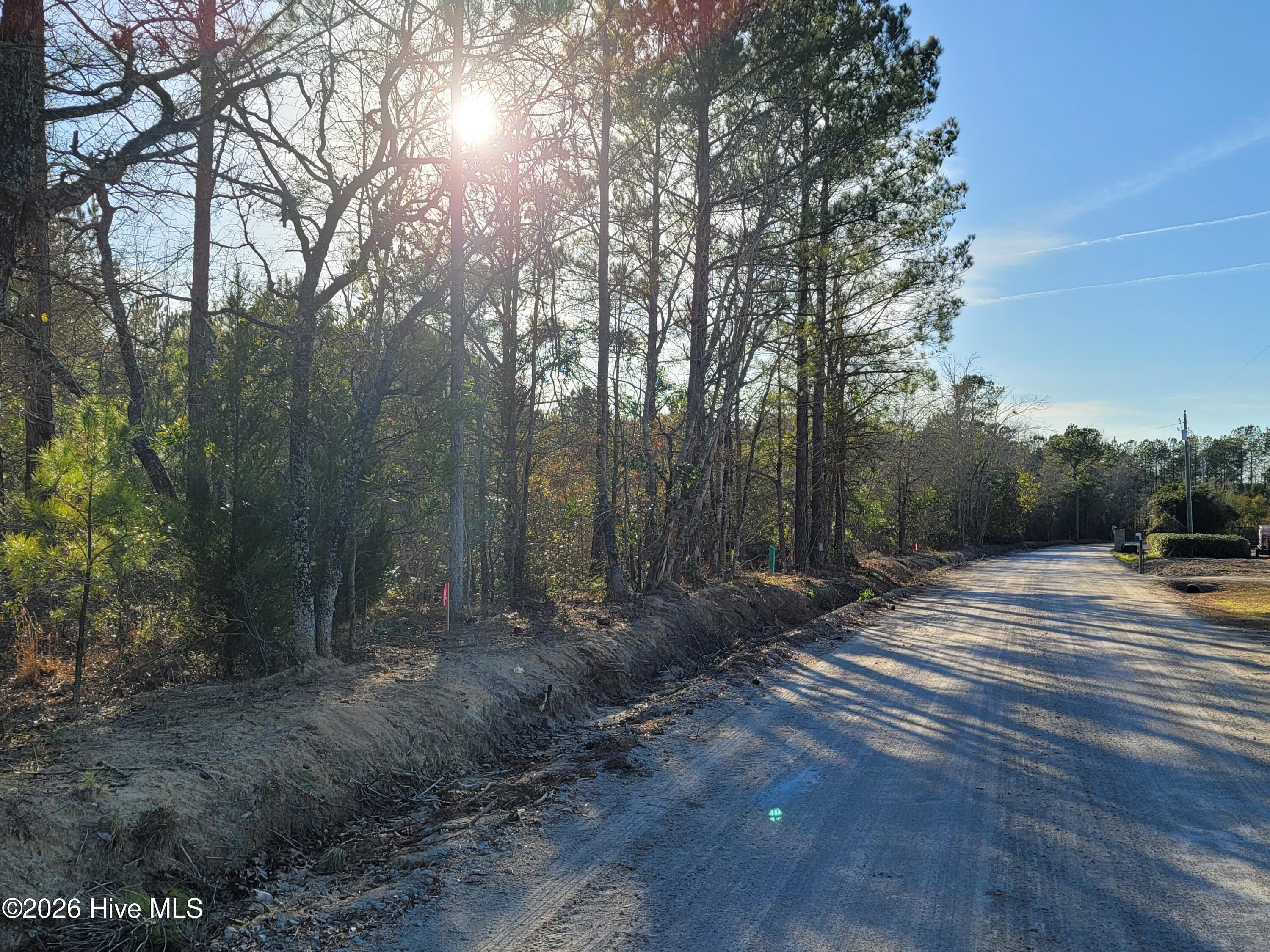 Tbd 1 Total Log Cabin Road Property Photo 8