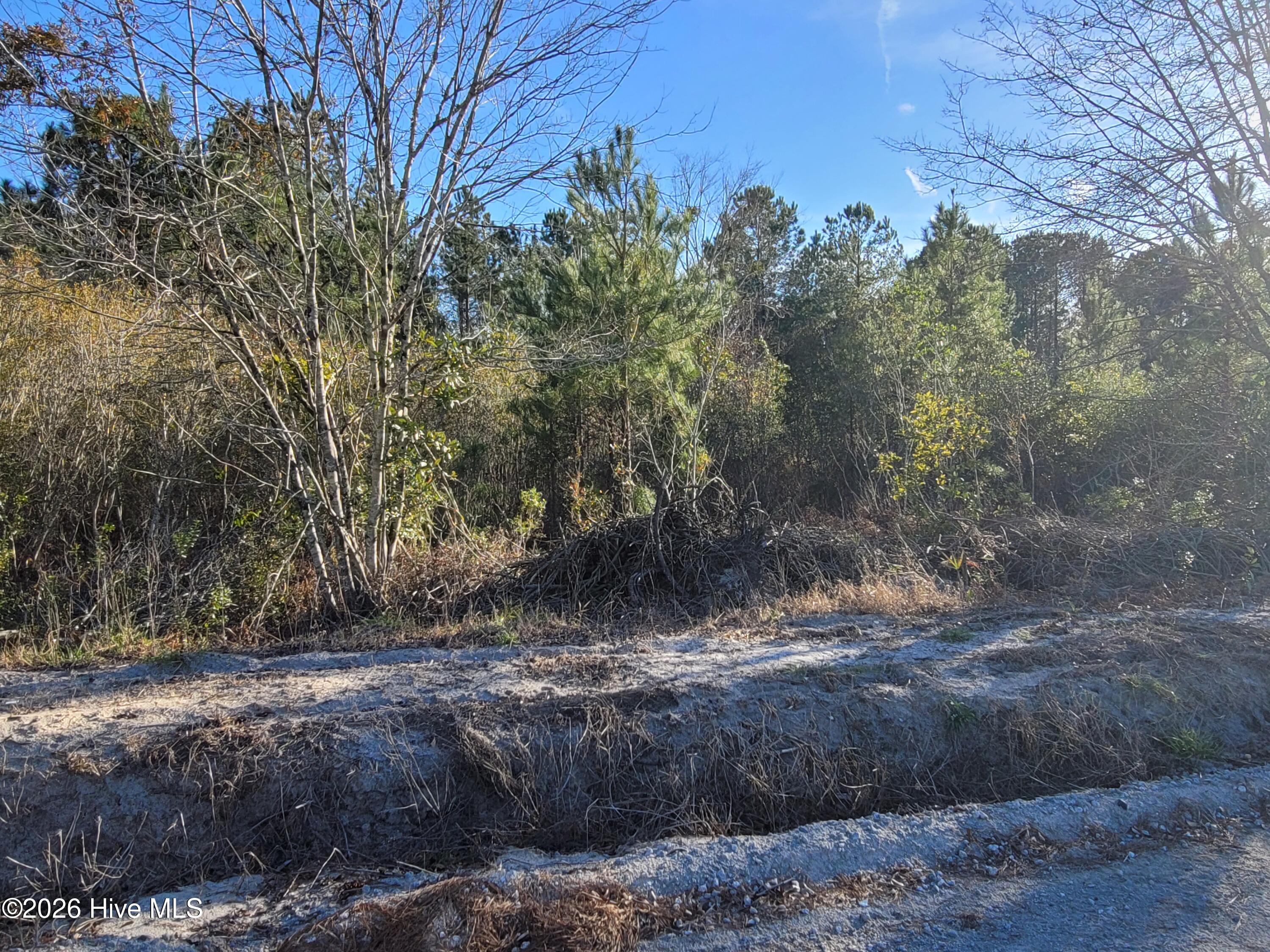 Tbd 1 Total Log Cabin Road Property Photo 10