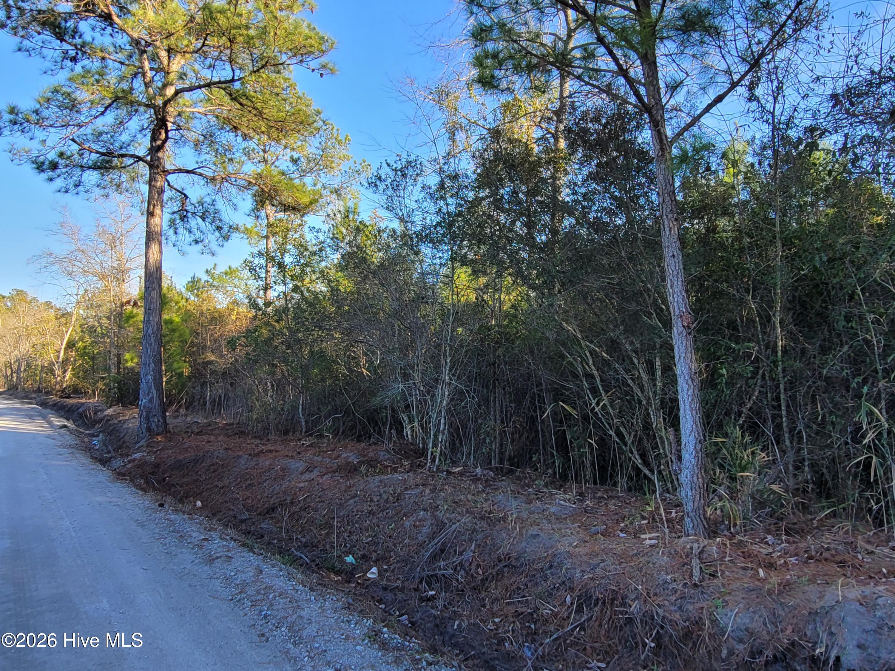 Tbd Lot 3 3 Auburn Drive Property Photo 1