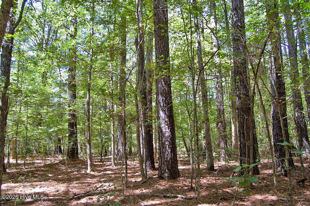 2 Nc Highway 33 Property Photo 6