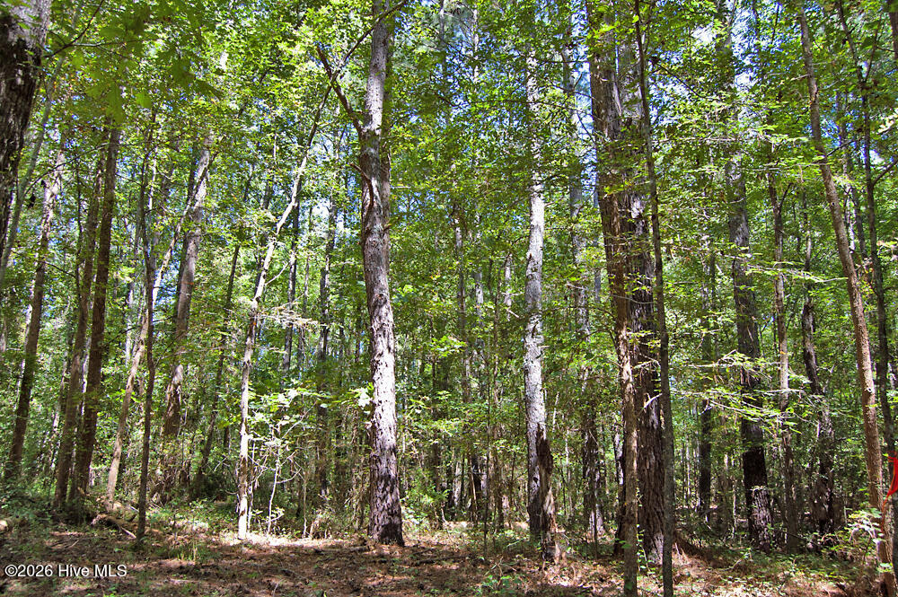 2 Nc Highway 33 Property Photo 34