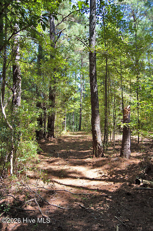 2 Nc Highway 33 Property Photo 39