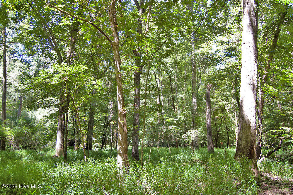 2 Nc Highway 33 Property Photo 50