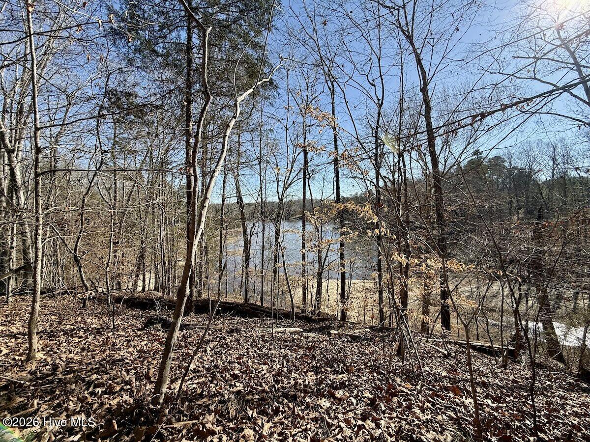666 Solomon Road Property Photo 11