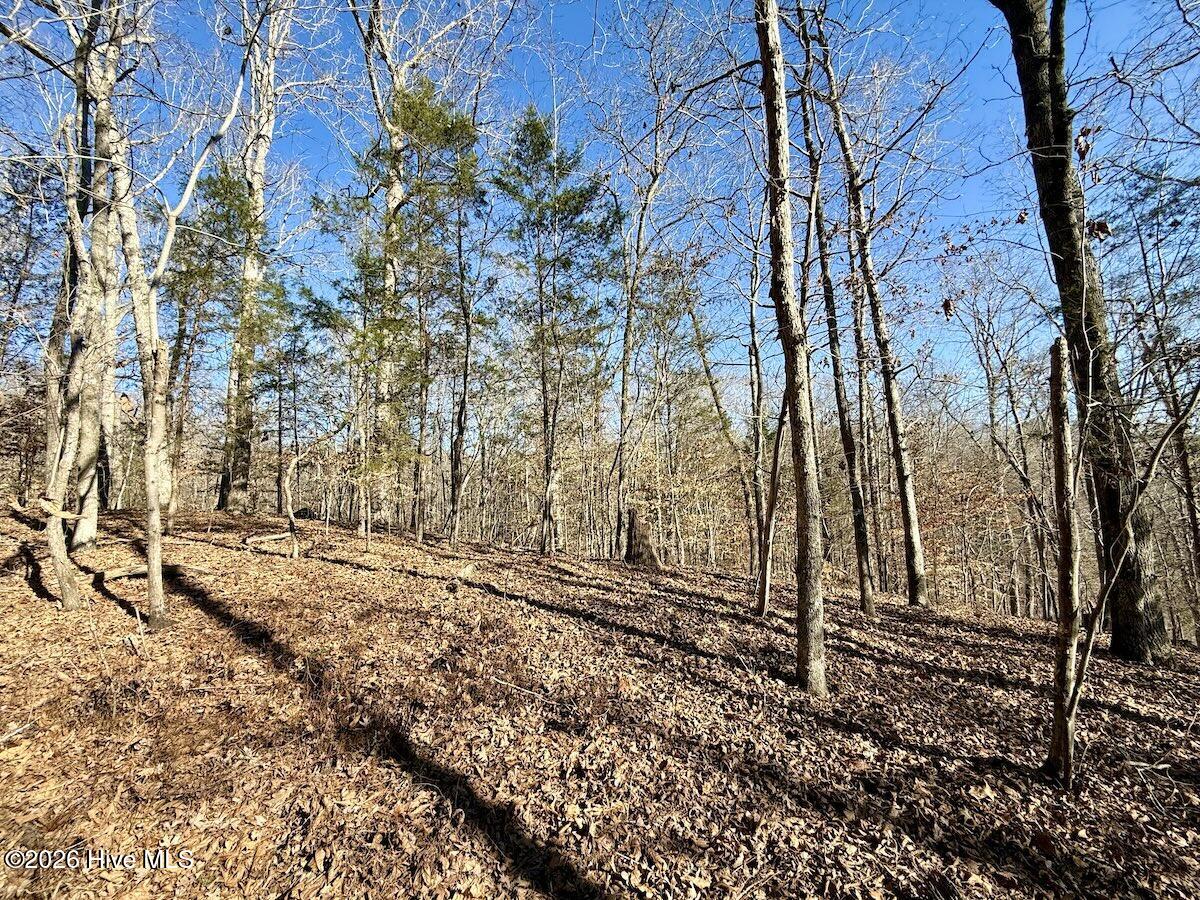 666 Solomon Road Property Photo 12