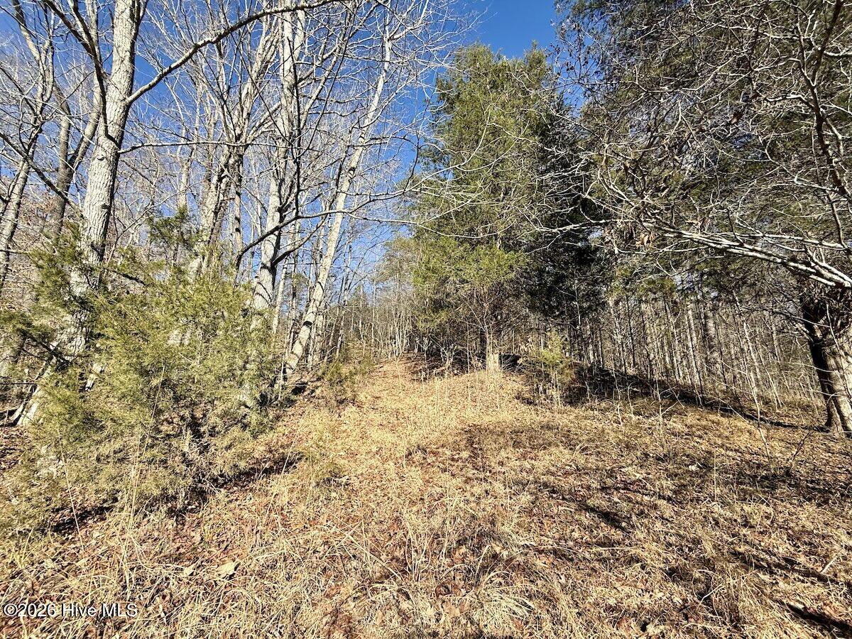 666 Solomon Road Property Photo 17
