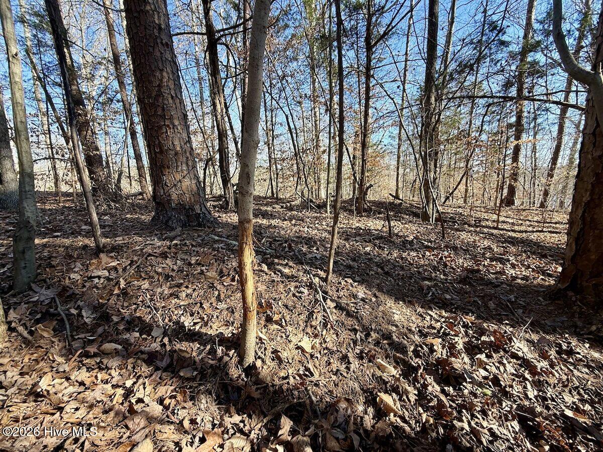 666 Solomon Road Property Photo 18