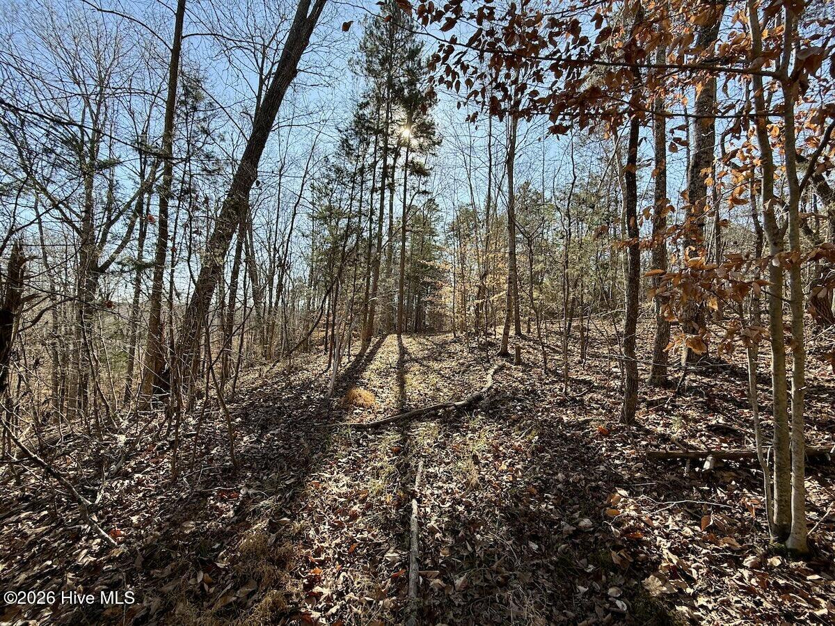 666 Solomon Road Property Photo 19